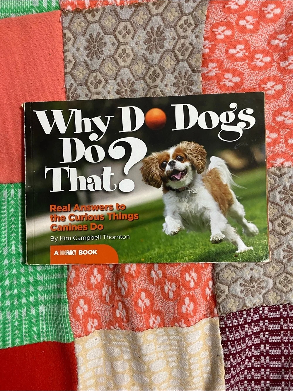 Why Do Dogs Do That? by Kim Campbell Thornton